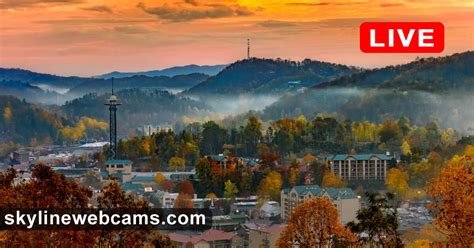 gatlinburg web cams|Live Webcam